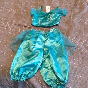 Disney princess Jasmine costume